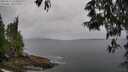 ./images/koeye/fitz-hugh/20250523/fitz-hugh20250523_171007M.jpg