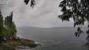 ./images/koeye/fitz-hugh/20250523/fitz-hugh20250523_171510M.jpg