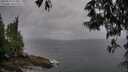 ./images/koeye/fitz-hugh/20250523/fitz-hugh20250523_174008M.jpg