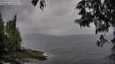 ./images/koeye/fitz-hugh/20250523/fitz-hugh20250523_174511M.jpg
