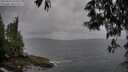 ./images/koeye/fitz-hugh/20250523/fitz-hugh20250523_175010M.jpg