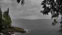 ./images/koeye/fitz-hugh/20250523/fitz-hugh20250523_175509M.jpg