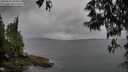 ./images/koeye/fitz-hugh/20250523/fitz-hugh20250523_180013M.jpg
