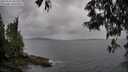 ./images/koeye/fitz-hugh/20250523/fitz-hugh20250523_181511M.jpg