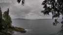 ./images/koeye/fitz-hugh/20250523/fitz-hugh20250523_182508M.jpg