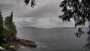 ./images/koeye/fitz-hugh/20250523/fitz-hugh20250523_183010M.jpg