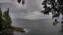 ./images/koeye/fitz-hugh/20250523/fitz-hugh20250523_184008M.jpg
