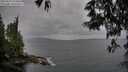 ./images/koeye/fitz-hugh/20250523/fitz-hugh20250523_194009M.jpg