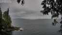 ./images/koeye/fitz-hugh/20250523/fitz-hugh20250523_200508M.jpg