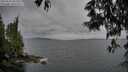 ./images/koeye/fitz-hugh/20250523/fitz-hugh20250523_201009M.jpg