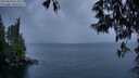 ./images/koeye/fitz-hugh/20250523/fitz-hugh20250523_212509M.jpg