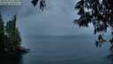./images/koeye/fitz-hugh/20250523/fitz-hugh20250523_214008M.jpg