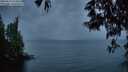 ./images/koeye/fitz-hugh/20250523/fitz-hugh20250523_215009M.jpg