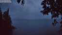./images/koeye/fitz-hugh/20250523/fitz-hugh20250523_221008M.jpg