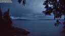 ./images/koeye/fitz-hugh/20250524/fitz-hugh20250524_045509M.jpg