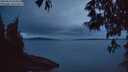 ./images/koeye/fitz-hugh/20250524/fitz-hugh20250524_050009M.jpg