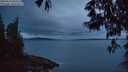 ./images/koeye/fitz-hugh/20250524/fitz-hugh20250524_050509M.jpg