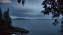 ./images/koeye/fitz-hugh/20250524/fitz-hugh20250524_051008M.jpg