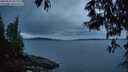 ./images/koeye/fitz-hugh/20250524/fitz-hugh20250524_051509M.jpg
