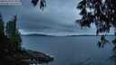 ./images/koeye/fitz-hugh/20250524/fitz-hugh20250524_052009M.jpg