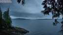 ./images/koeye/fitz-hugh/20250524/fitz-hugh20250524_052508M.jpg