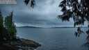 ./images/koeye/fitz-hugh/20250524/fitz-hugh20250524_053008M.jpg