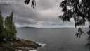 ./images/koeye/fitz-hugh/20250524/fitz-hugh20250524_055509M.jpg
