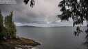 ./images/koeye/fitz-hugh/20250524/fitz-hugh20250524_060011M.jpg