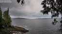 ./images/koeye/fitz-hugh/20250524/fitz-hugh20250524_061010M.jpg