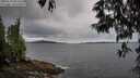 ./images/koeye/fitz-hugh/20250524/fitz-hugh20250524_061510M.jpg