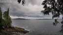 ./images/koeye/fitz-hugh/20250524/fitz-hugh20250524_062510M.jpg