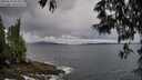 ./images/koeye/fitz-hugh/20250524/fitz-hugh20250524_063010M.jpg