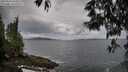./images/koeye/fitz-hugh/20250524/fitz-hugh20250524_063508M.jpg