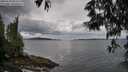 ./images/koeye/fitz-hugh/20250524/fitz-hugh20250524_064510M.jpg
