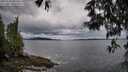 ./images/koeye/fitz-hugh/20250524/fitz-hugh20250524_065010M.jpg