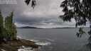 ./images/koeye/fitz-hugh/20250524/fitz-hugh20250524_065510M.jpg