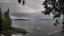 ./images/koeye/fitz-hugh/20250524/fitz-hugh20250524_071510M.jpg