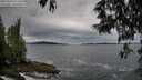 ./images/koeye/fitz-hugh/20250524/fitz-hugh20250524_072510M.jpg