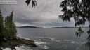 ./images/koeye/fitz-hugh/20250524/fitz-hugh20250524_073010M.jpg
