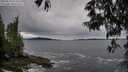 ./images/koeye/fitz-hugh/20250524/fitz-hugh20250524_073509M.jpg