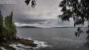 ./images/koeye/fitz-hugh/20250524/fitz-hugh20250524_074510M.jpg