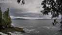 ./images/koeye/fitz-hugh/20250524/fitz-hugh20250524_075011M.jpg