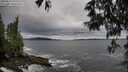 ./images/koeye/fitz-hugh/20250524/fitz-hugh20250524_075510M.jpg