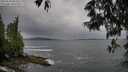 ./images/koeye/fitz-hugh/20250524/fitz-hugh20250524_082509M.jpg