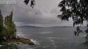 ./images/koeye/fitz-hugh/20250524/fitz-hugh20250524_085011M.jpg