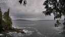 ./images/koeye/fitz-hugh/20250524/fitz-hugh20250524_085510M.jpg