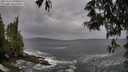 ./images/koeye/fitz-hugh/20250524/fitz-hugh20250524_090012M.jpg