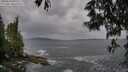 ./images/koeye/fitz-hugh/20250524/fitz-hugh20250524_090509M.jpg