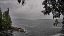 ./images/koeye/fitz-hugh/20250524/fitz-hugh20250524_091511M.jpg