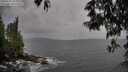 ./images/koeye/fitz-hugh/20250524/fitz-hugh20250524_093011M.jpg
